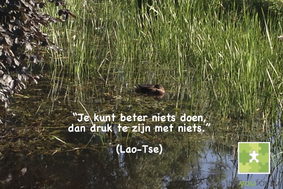 quote Lao-Tse: Je kunt beter niets doen, dan druk te zijn met niets.