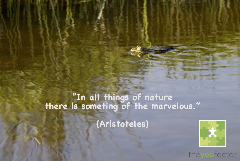 Quote Aristoteles: In all things of nature there is something of the marvelous