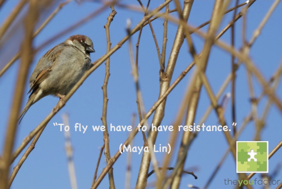 Quote Maya Lin: To fly we have to have resistance.